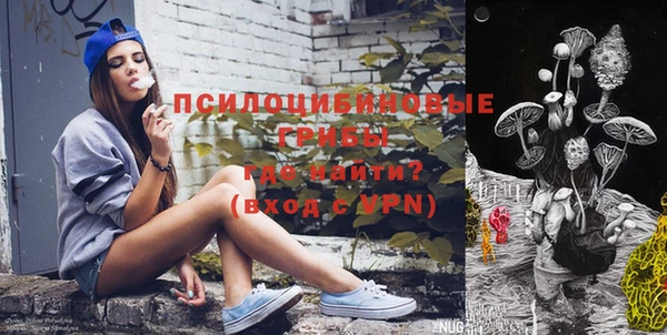 дурь Алексеевка