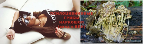 дурь Алексеевка