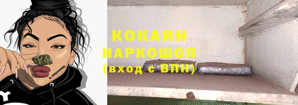 молекула духа Алексин
