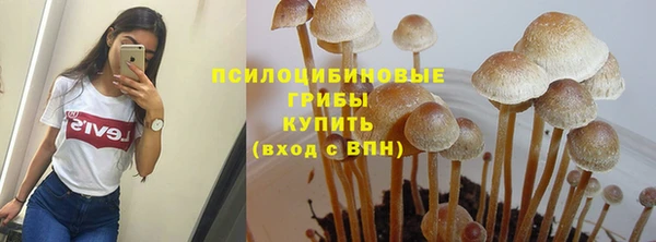 дурь Алексеевка